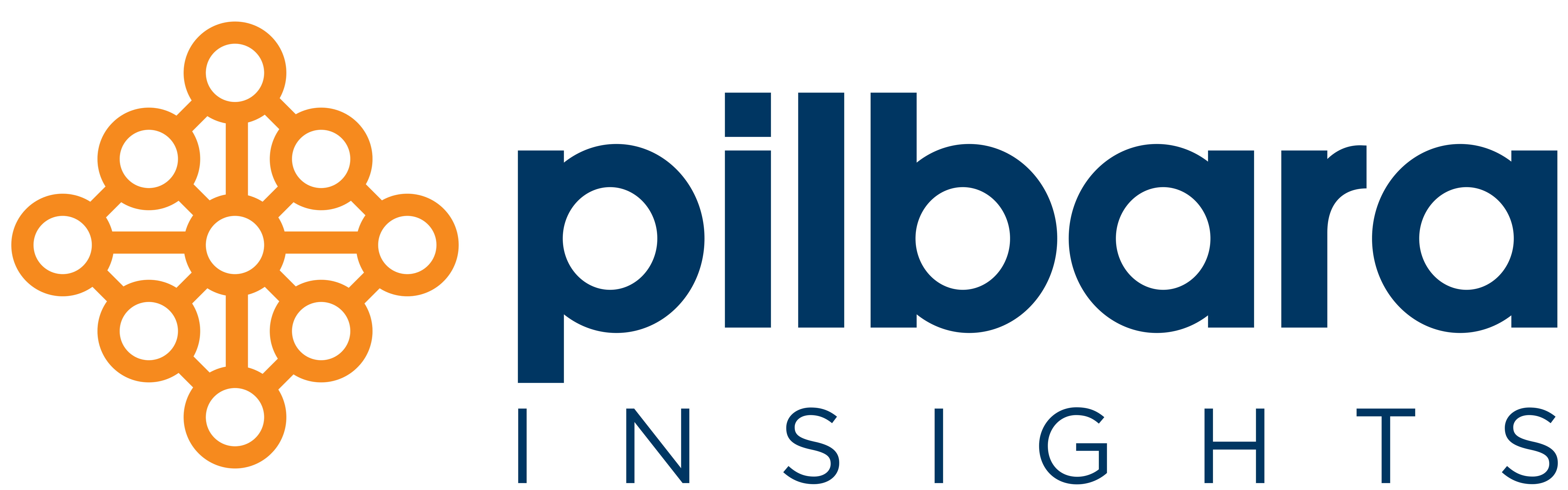 Pilbara Insights Logo